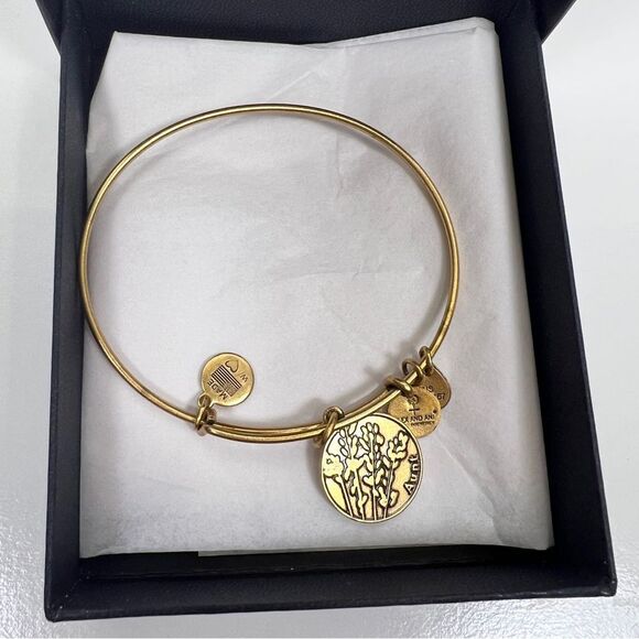 Alex and Ani Aunt Charm Adjustable Bangle Bracelet in Gold Finish Gift Ready - Picture 5 of 9